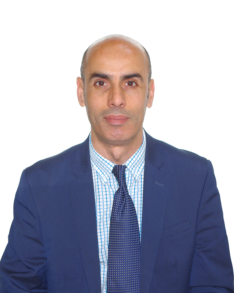 صورة من المعرض